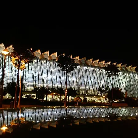 Frente Al Mar *